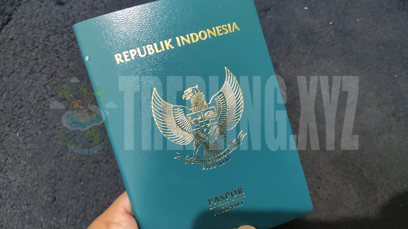 penampakan buku paspor